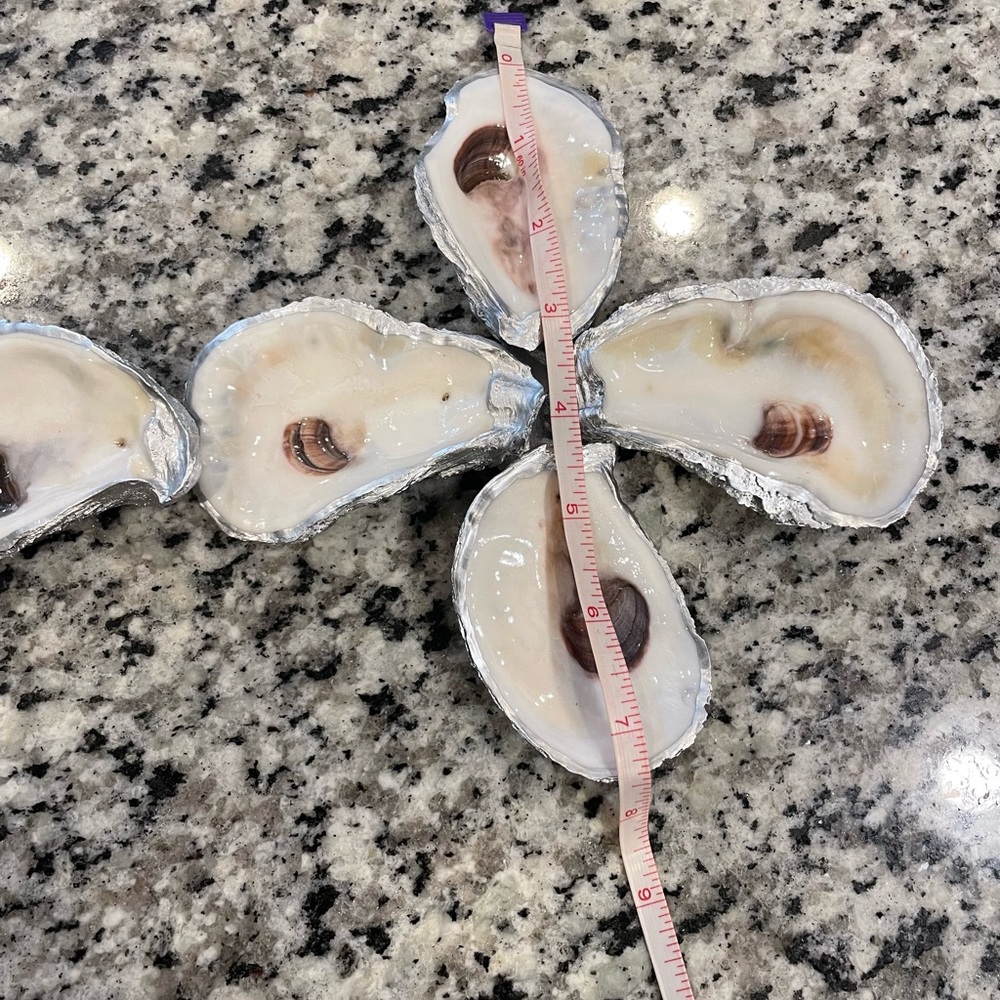 Oyster Shell cross - Picture 5 of 9